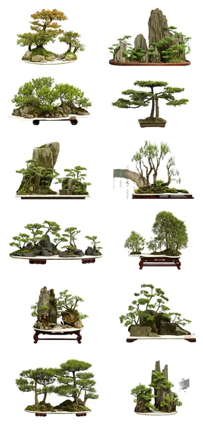 Colección de los mejores bonsáis de china con fondo blanco aislado —  Fotos de Stock