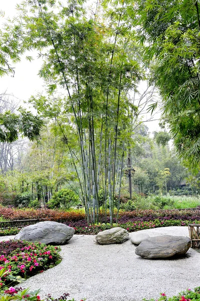 竹林和庭院 — 图库照片