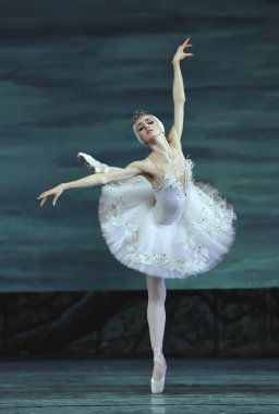 Beautiful ballerina clipart
