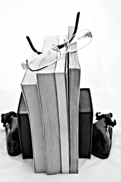Böcker från baksidan — Stockfoto