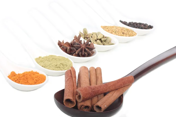 Various colorful spice — Stock Photo, Image