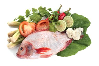 Red snapper fish clipart