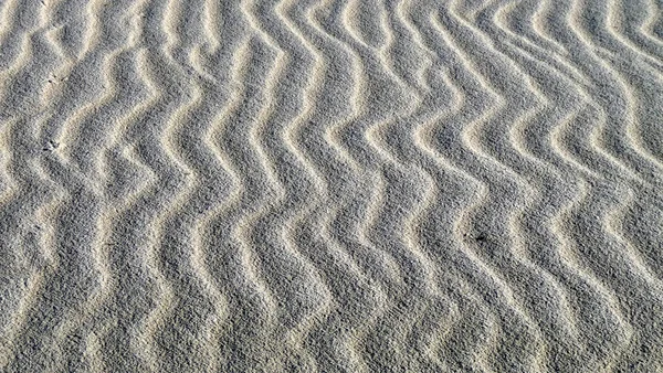 stock image Dünen in Dänemark