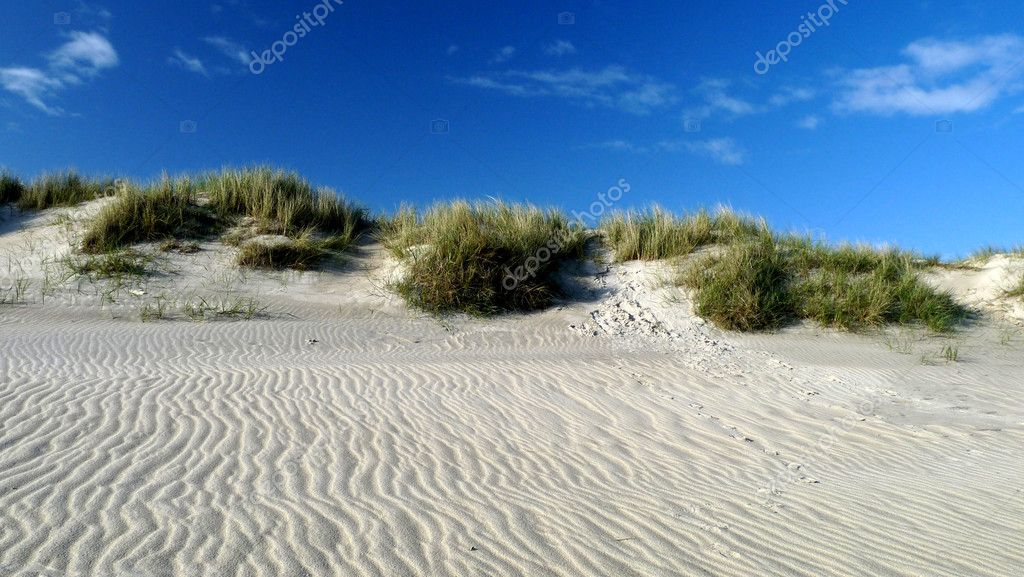 Dünen in Dänemark — Stock Photo © Boje #7545088