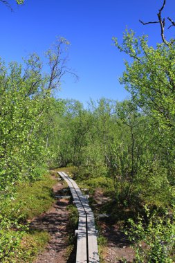 Abisko Nationalpark