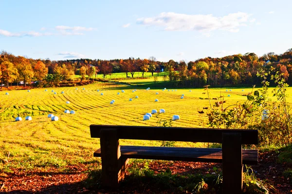 Pšeničné pole po sklizni na podzim — Stock fotografie