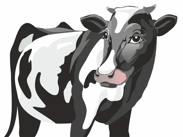 Gevlekte koe — Stockvector