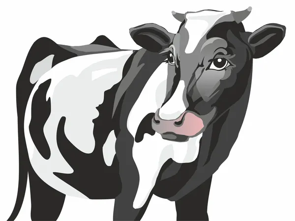 Пятнистая корова Векторная Графика