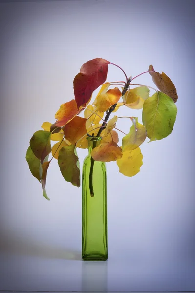 Ramo de otoño en jarrón sobre fondo azulado con viñeta . —  Fotos de Stock