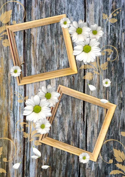 Romantic scrapbook background with chamomile — Stock Photo, Image