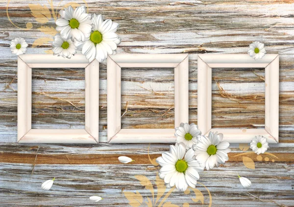 Romantic scrapbook background with chamomile — Stock Photo, Image