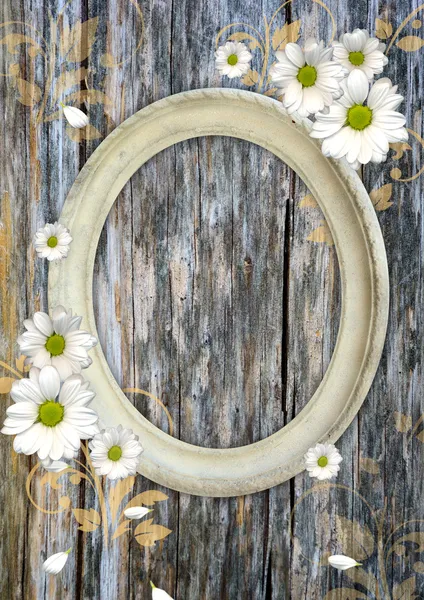 Romantic scrapbook background with chamomile — Stock Photo, Image