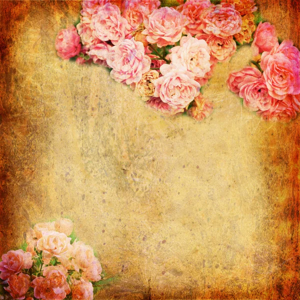 Grunge abstrakt bakgrund med rosor — Stockfoto