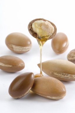 Seeds of argan clipart