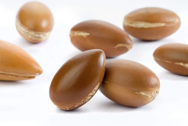 Seeds of argan — Stock Photo, Image