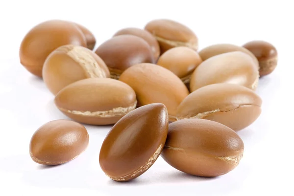 Seeds of argan — Stock Photo, Image