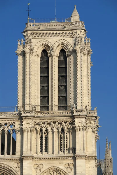 Paris, Cathédrale Notre Dame — Photo