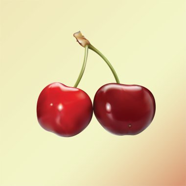 Cherry03 clipart