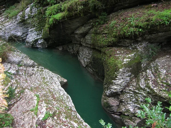 stock image Adler, Canyon of the river Psaho