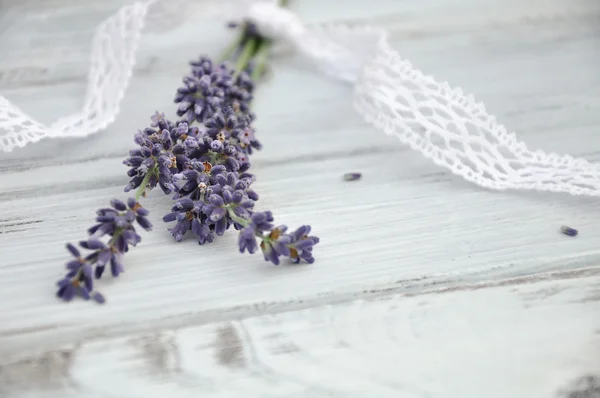 Lavender Bouquet — Stock Photo, Image