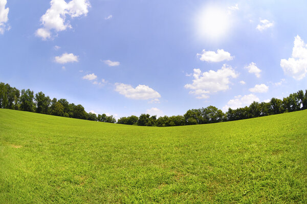 Blue Skies and Green Grass on a Warm, Sunny Day