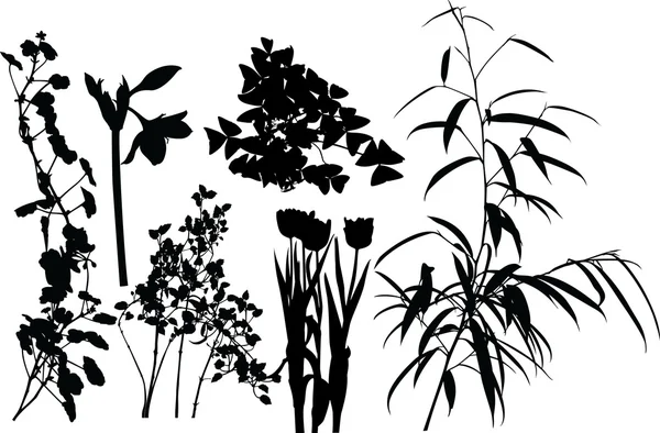 Serie di piante I — Vettoriale Stock