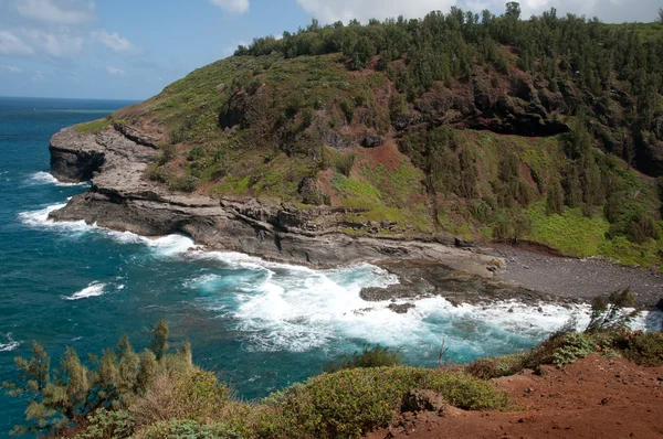 stock image Kauai Coastline