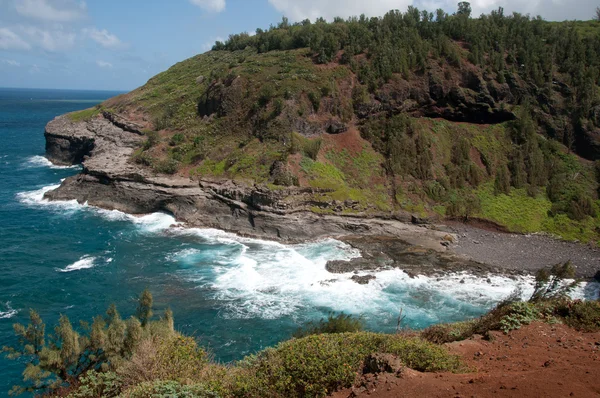 Kauai kustlijn Stockafbeelding