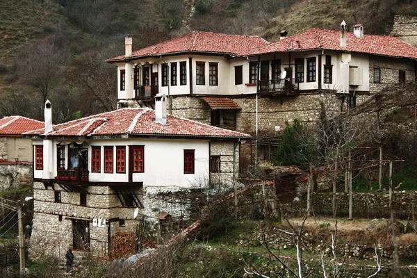 stock image Old village houses