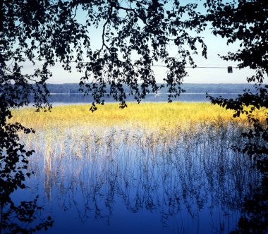 Lake, gold grass clipart