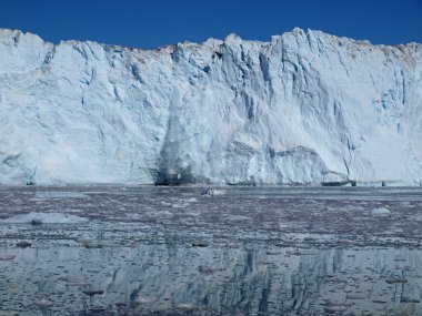Calving glacier Eqi, Greenland. clipart