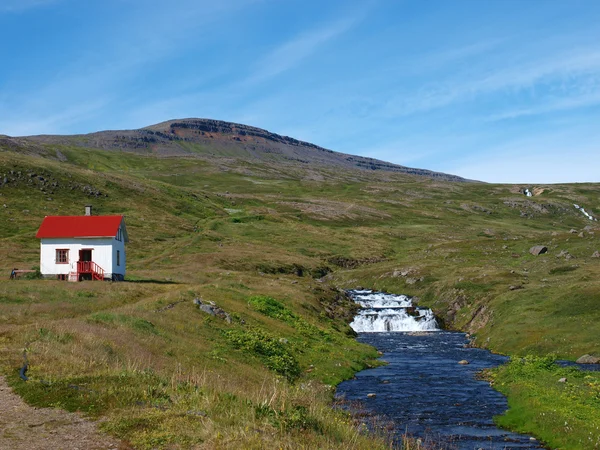 Hornstrandir naturreservat, Island — Stockfoto