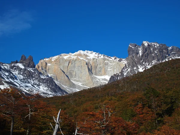 Torres del Paine in fall, Chile.