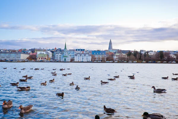 Stock image Tjornin lake in Reykjavik, Iceland