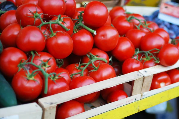 西红柿在市场站 — 图库照片#