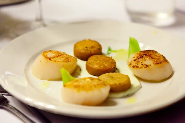 stock image Scallops entree