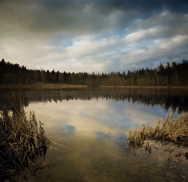 야생 호수 — 스톡 사진
