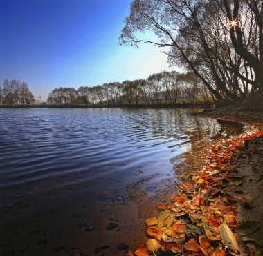 Autumn in Moscow clipart