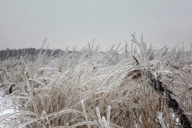 Moscow winter