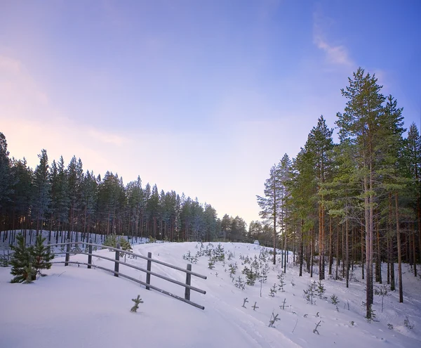 芬兰冬季 — 图库照片