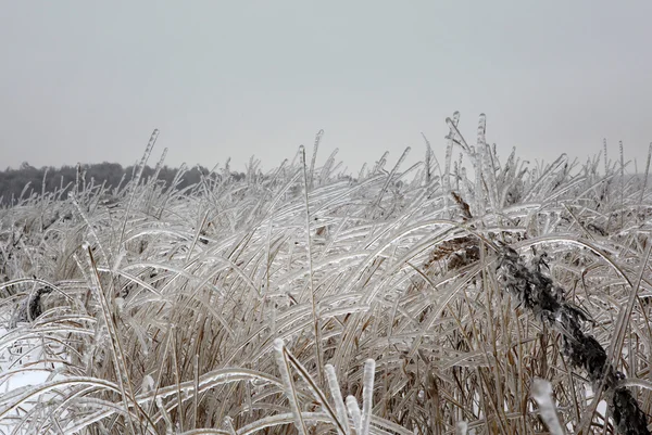 Inverno moscow — Fotografia de Stock