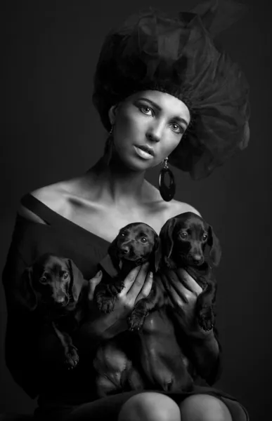 3 그녀의 개 — 스톡 사진