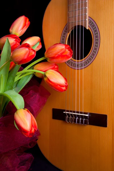 stock image Tulips and guitar