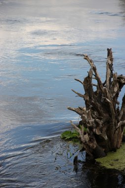 kök Nehri üzerinde