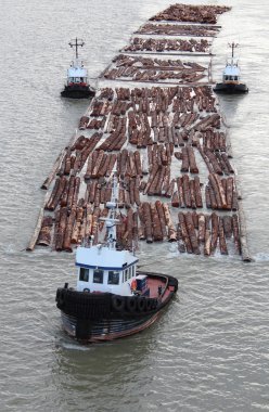 Three Tugboats Pulling a Boom clipart