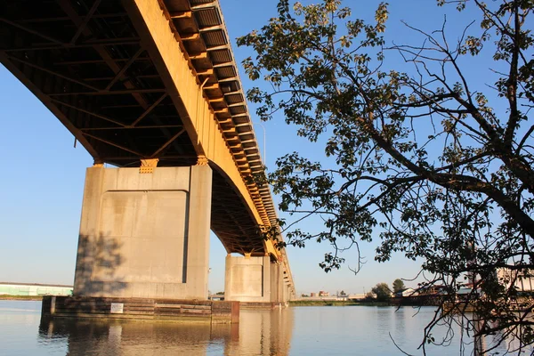 Bridge med betongpelare — Stockfoto