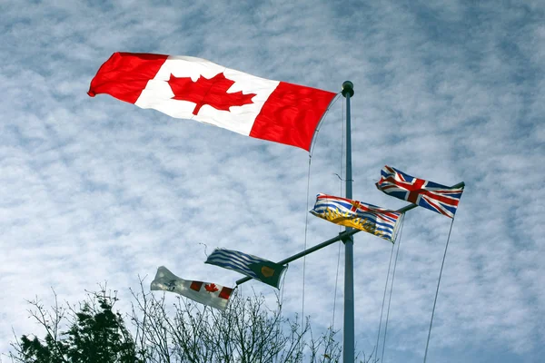 Canadas flag - Stock-foto