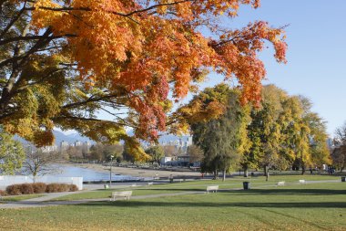 Kitsilano Beach clipart