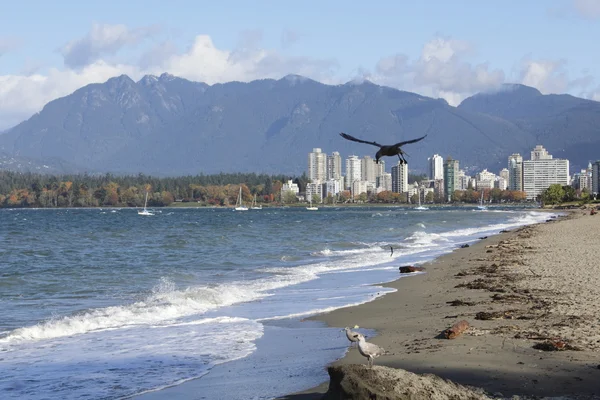 Vancouver westend van kits strand — Stockfoto