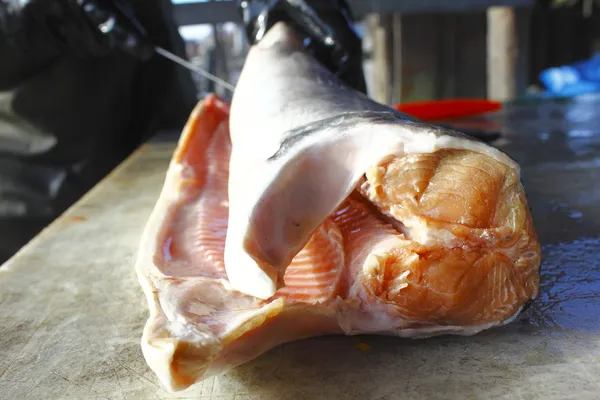 Филе лосося — стоковое фото